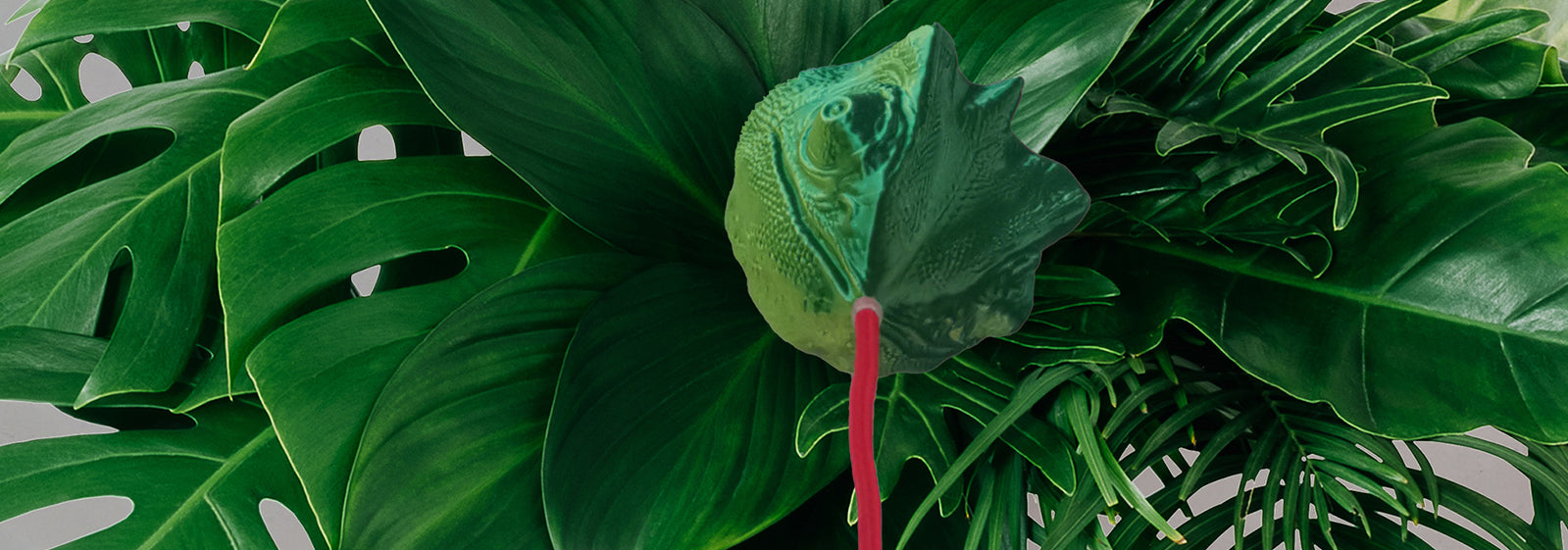 Fauna