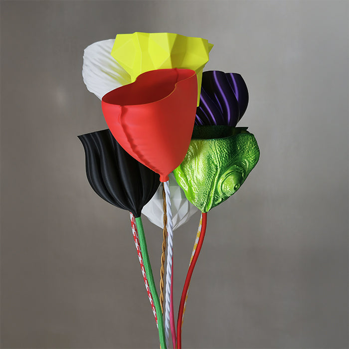 canopie Gutschein